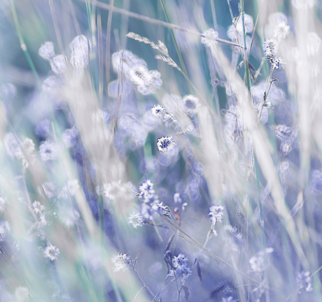 teaser-ablauf-und-kosten